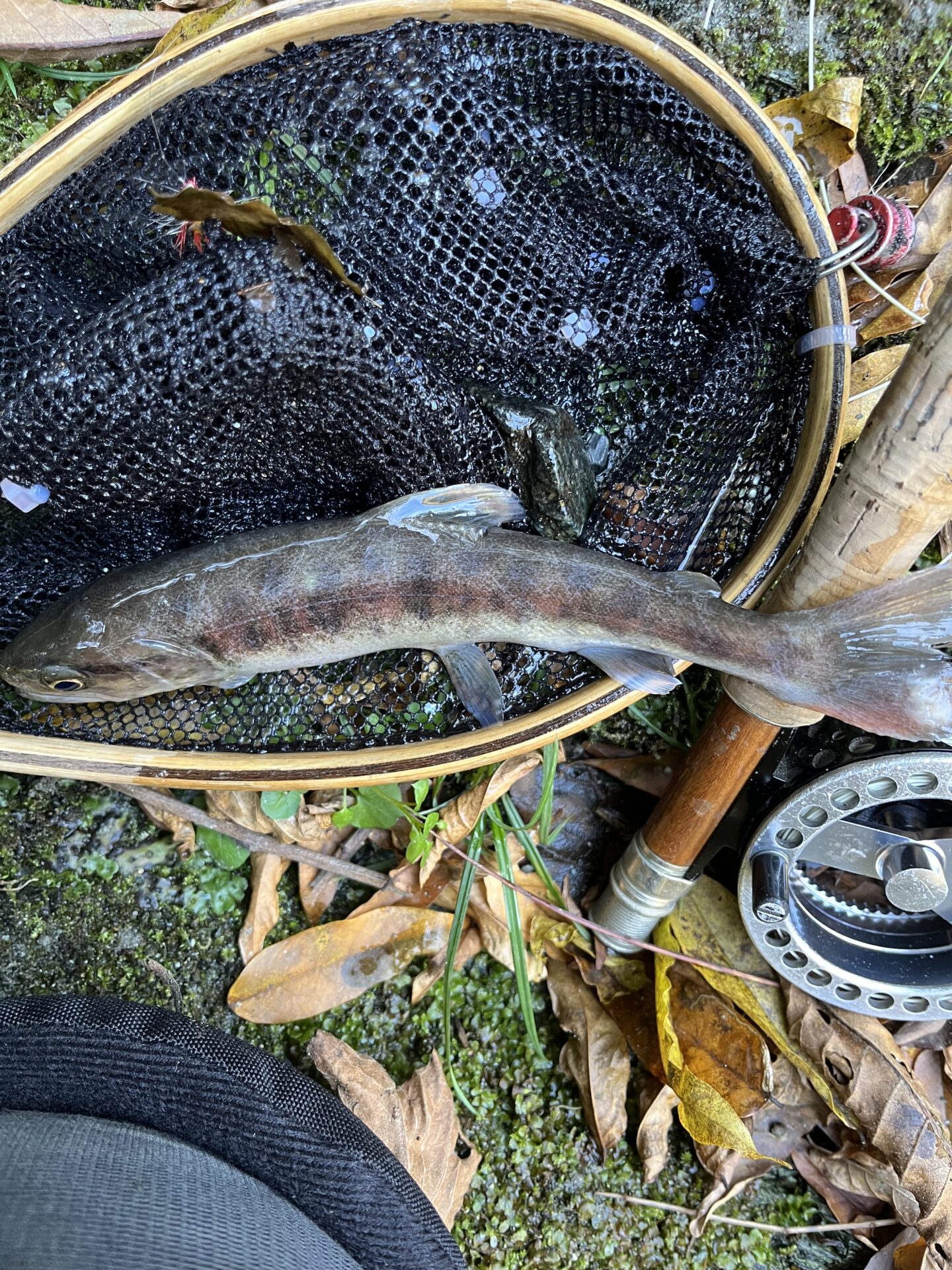 山女魚
赤久縄
2025.10.29
12:28