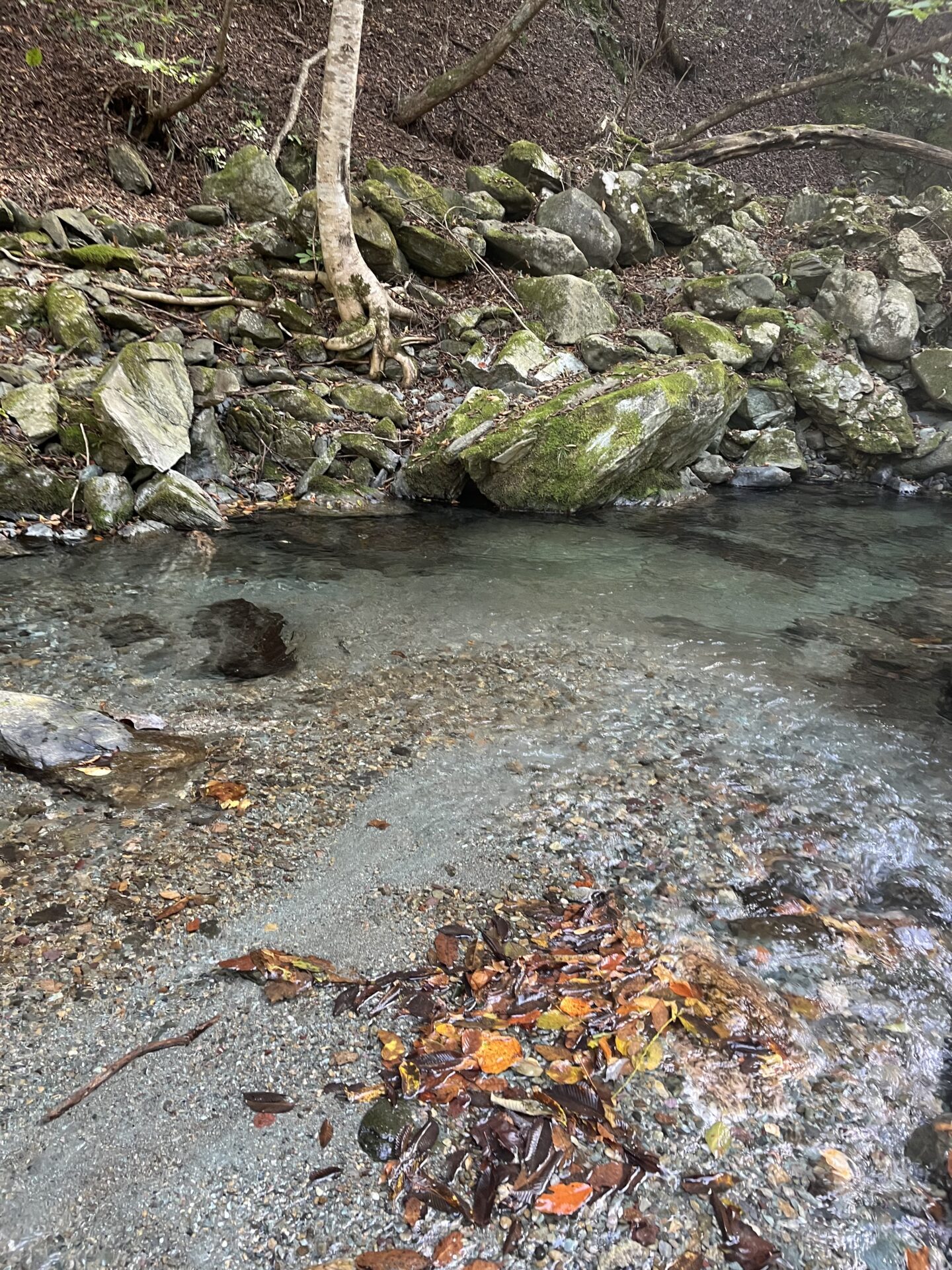 ポイント
山女魚
赤久縄
2025.10.29
13:18