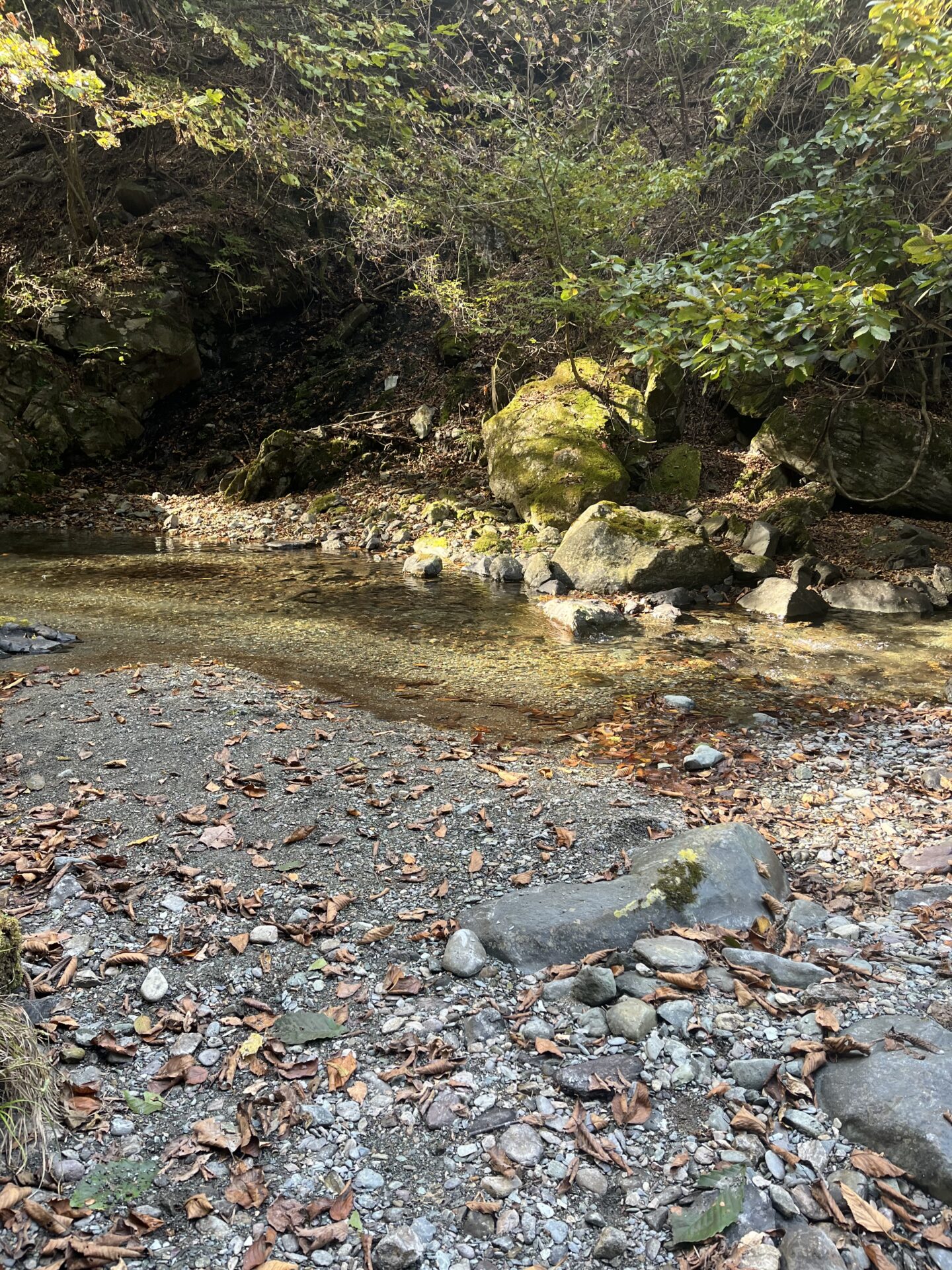 ポイント
岩魚
赤久縄
2025.10.29
13:28