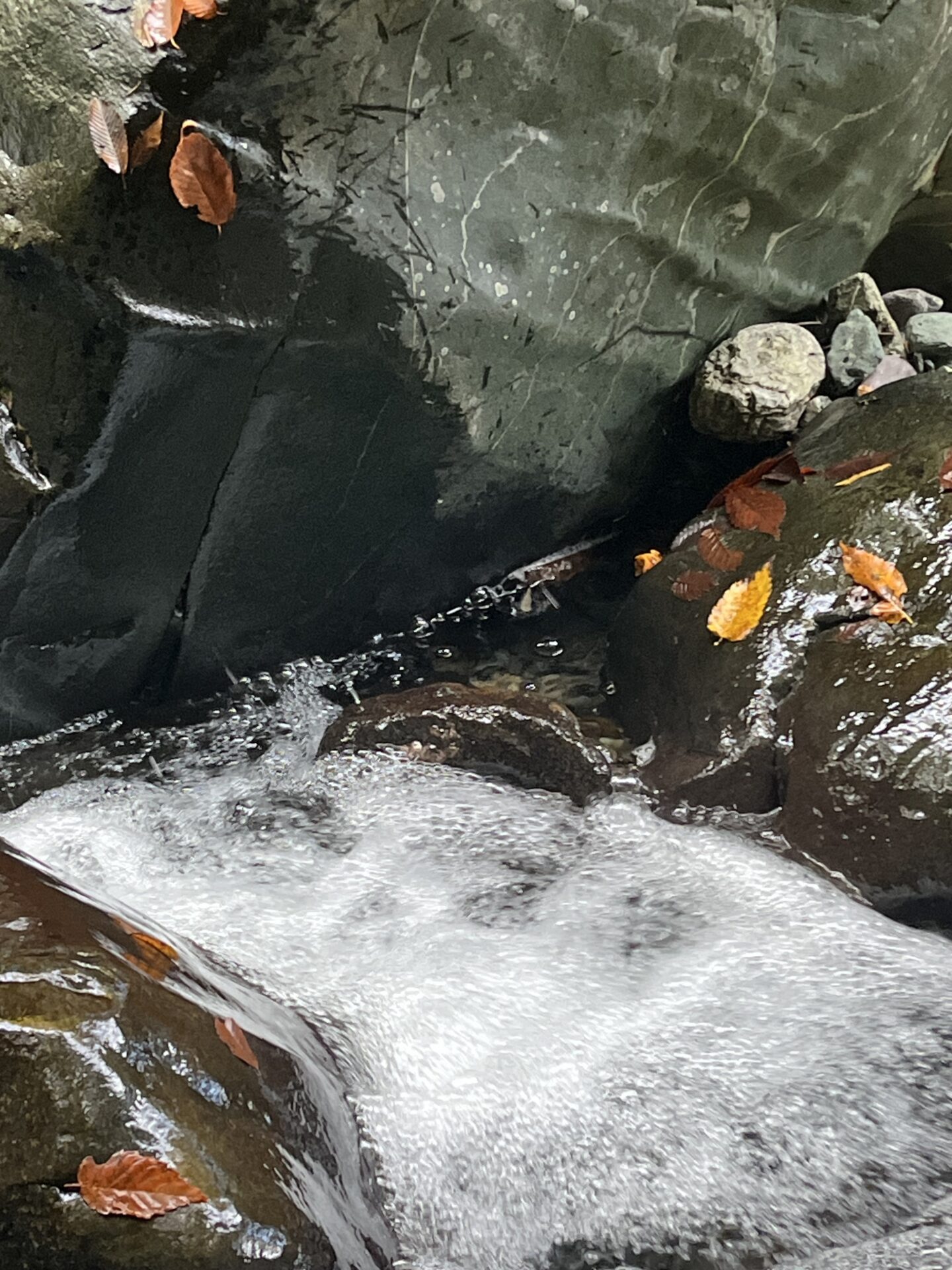 ポイント
岩魚
赤久縄
2025.10.29
14:14