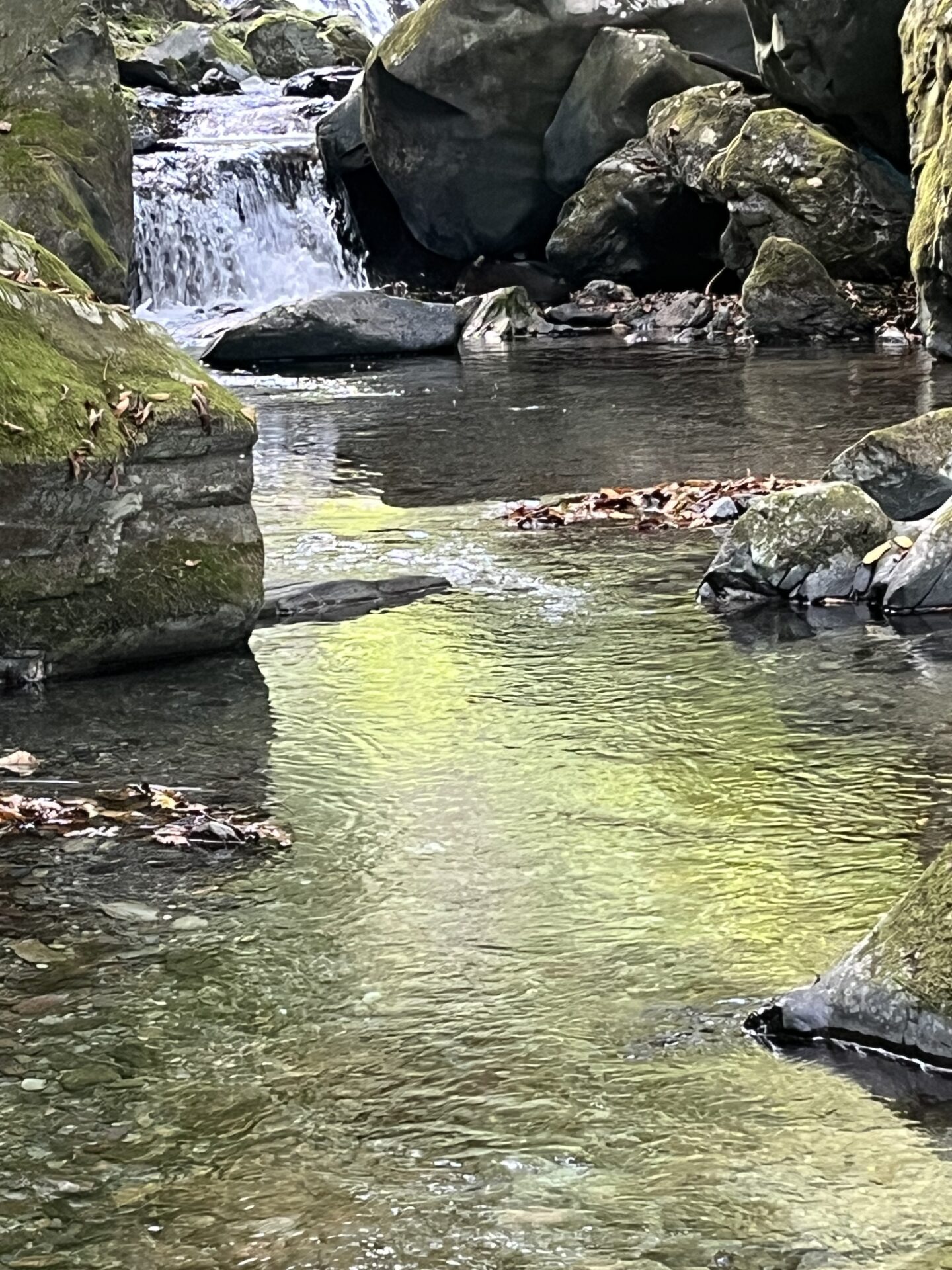 このポイント以降、岩魚の反応が多くなった。