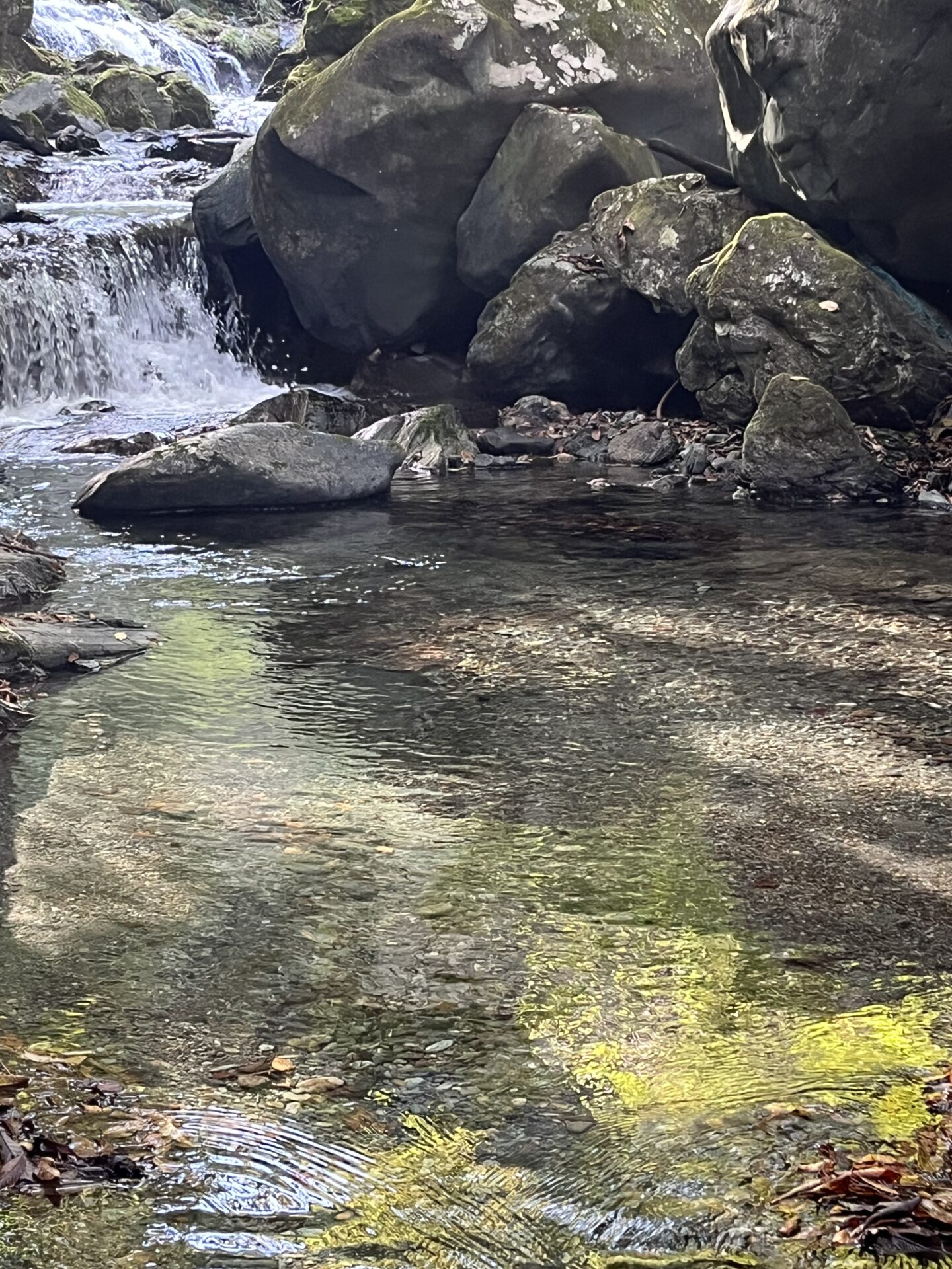 ポイント
岩魚
赤久縄
2025.10.29
14:37