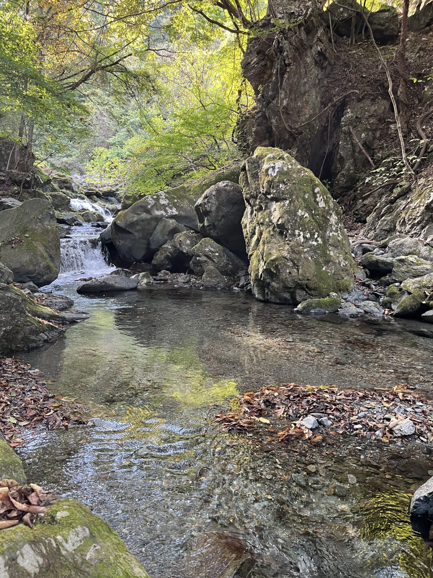 ポイント
山女魚
赤久縄
2025.10.29
14:43