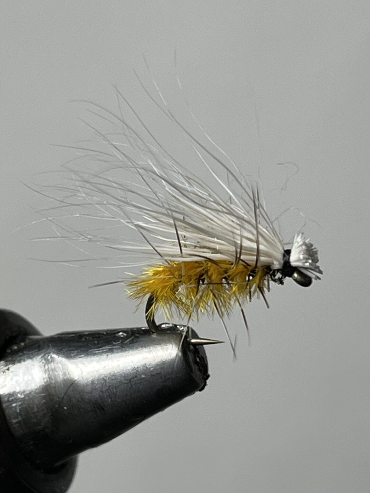 12番スズメバチカディス