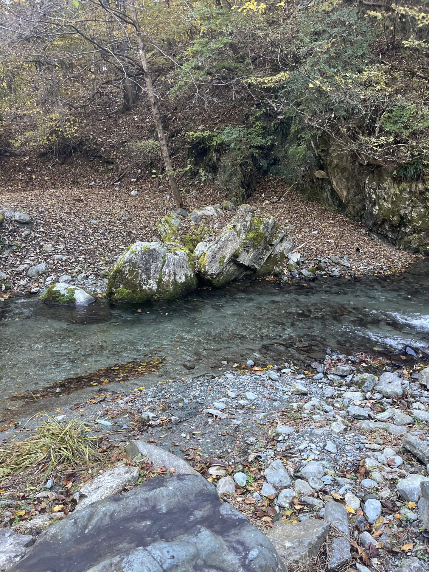 水位
赤久縄
2024.11.13