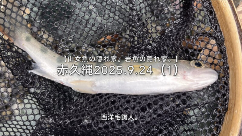 【フライフィッシング】禁漁期間・・・まずは赤久縄！ 
