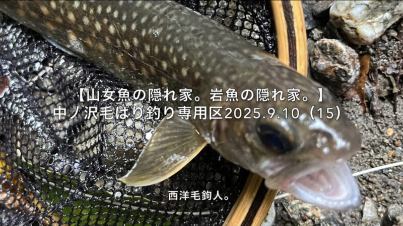【フライフィッシング】今シーズンの上野村、ありがとうの1匹！ 