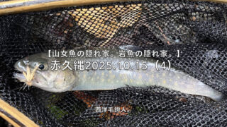 【フライフィッシング】流芯の水面には山女魚、底には岩魚。