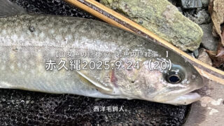 【フライフィッシング】定番ポイントの前後を狙う！ 