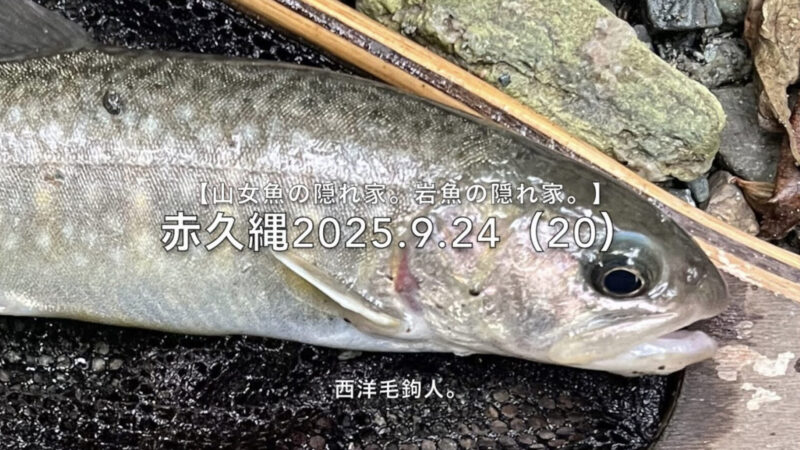 【フライフィッシング】定番ポイントの前後を狙う!