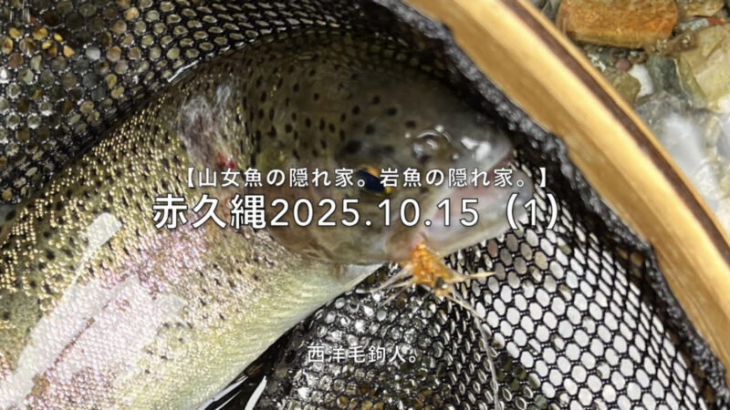 【フライフィッシング】先行者がいても釣れる丁寧な放流!
