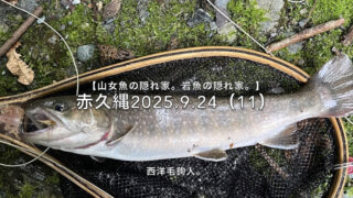 【フライフィッシング】山岳渓流突入！幸先よく岩魚！ 