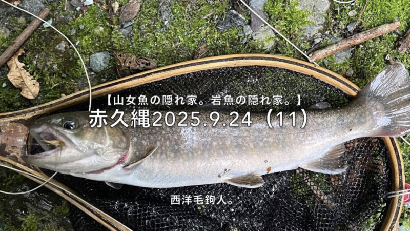 【フライフィッシング】山岳渓流突入！幸先よく岩魚！ 