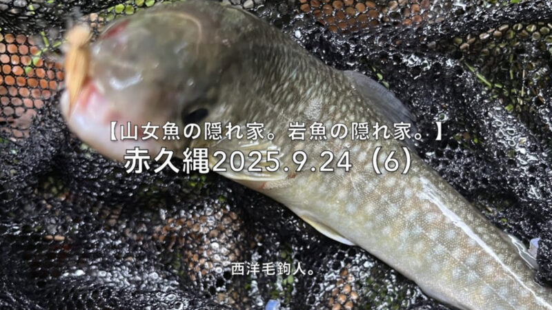 【フライフィッシング】次は、岩魚!