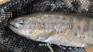 【フライフィッシング】流芯に潜む山女魚は食欲旺盛！？ 