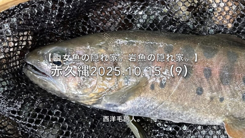 【フライフィッシング】流芯に潜む山女魚は食欲旺盛!?