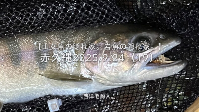 【フライフィッシング】ワイルド岩魚との対決に期待!?