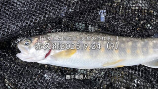 【フライフィッシング】現場では見えている！？動画では見えない。 