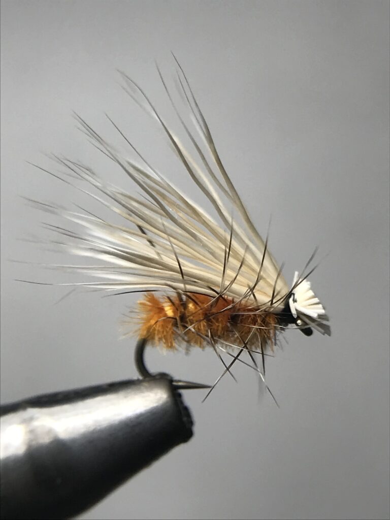 12番スズメバチカディス(秋)