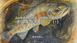 【フライフィッシング】11月中旬、12番毛鉤、水面で釣れる！ 