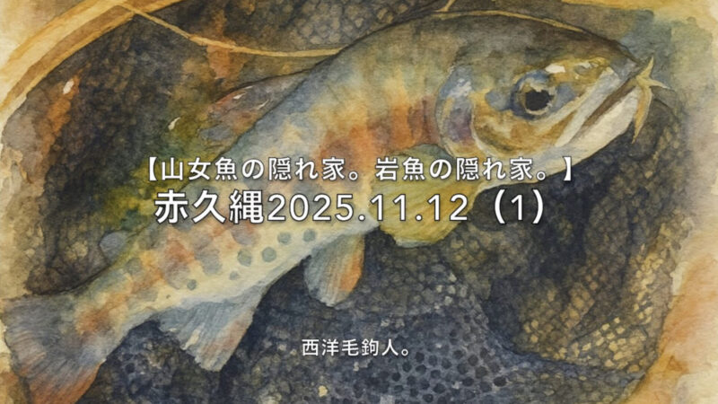 【フライフィッシング】11月中旬、12番毛鉤、水面で釣れる！ 
