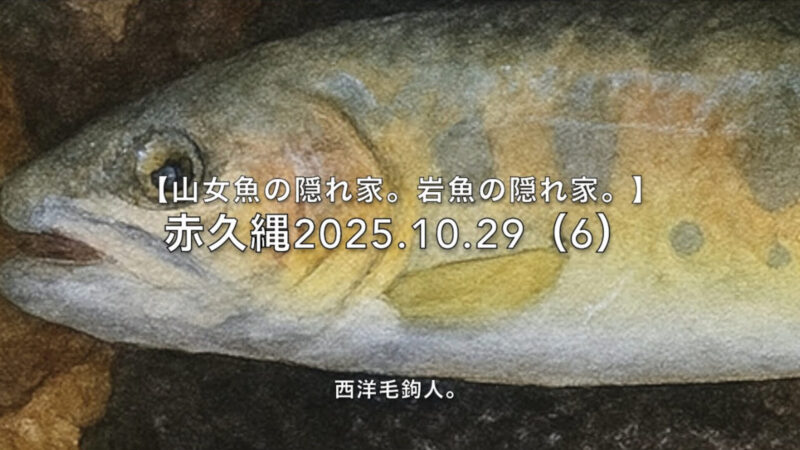 【フライフィッシング】竿抜けにもきちんと放流してあるので、みんな楽しめる。 