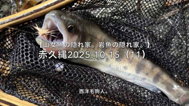 【フライフィッシング】この辺りの左岸は、釣られていない!