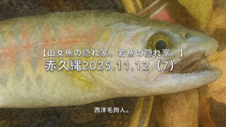 【フライフィッシング】ニジマスが釣れない！？ 