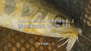 【フライフィッシング】危険箇所には放流されていないかな？ 