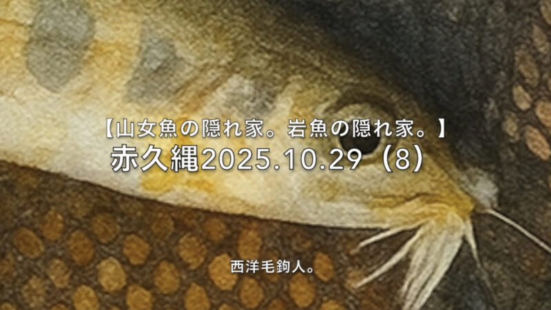 【フライフィッシング】危険箇所には放流されていないかな？ 