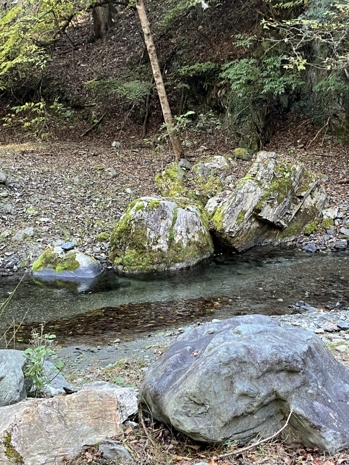 水位
赤久縄
2025.10.29