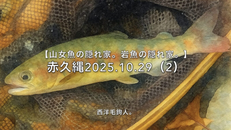 【フライフィッシング】毛鉤が着水と同時に一目散・・・釣りになるのか？ 