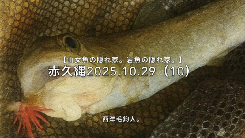 【フライフィッシング】岩魚が釣りたい！ 