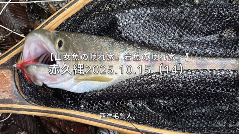 【フライフィッシング】レッド（赤）ウイングは、使い物にならん！ 