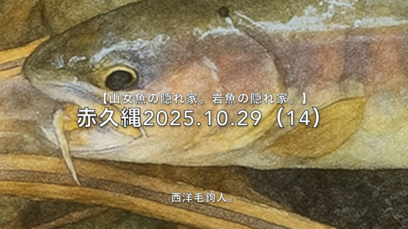 【フライフィッシング】放流は山女魚がメインだ！っとすれば・・・。 