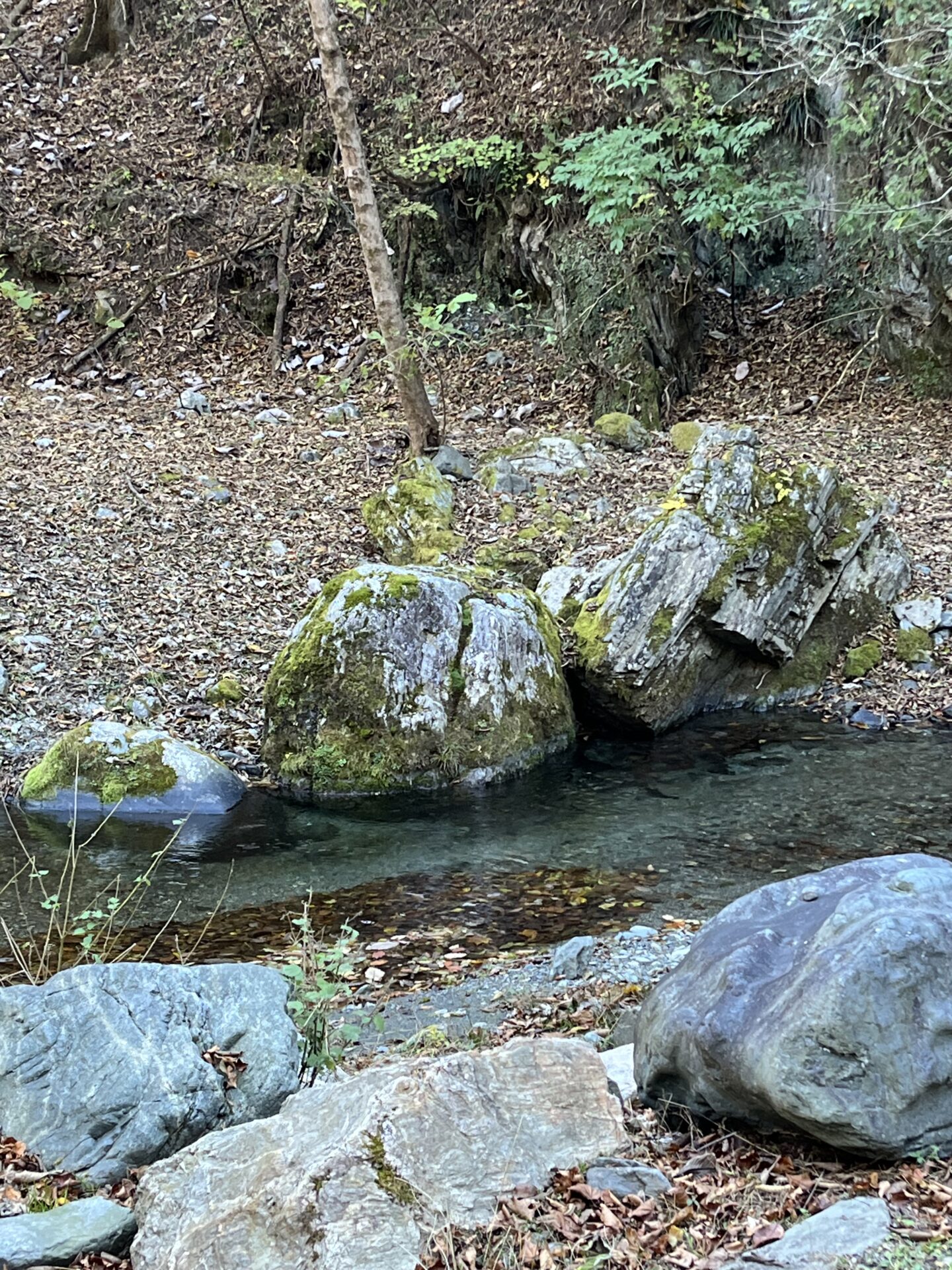 水位
赤久縄
2025.11.12