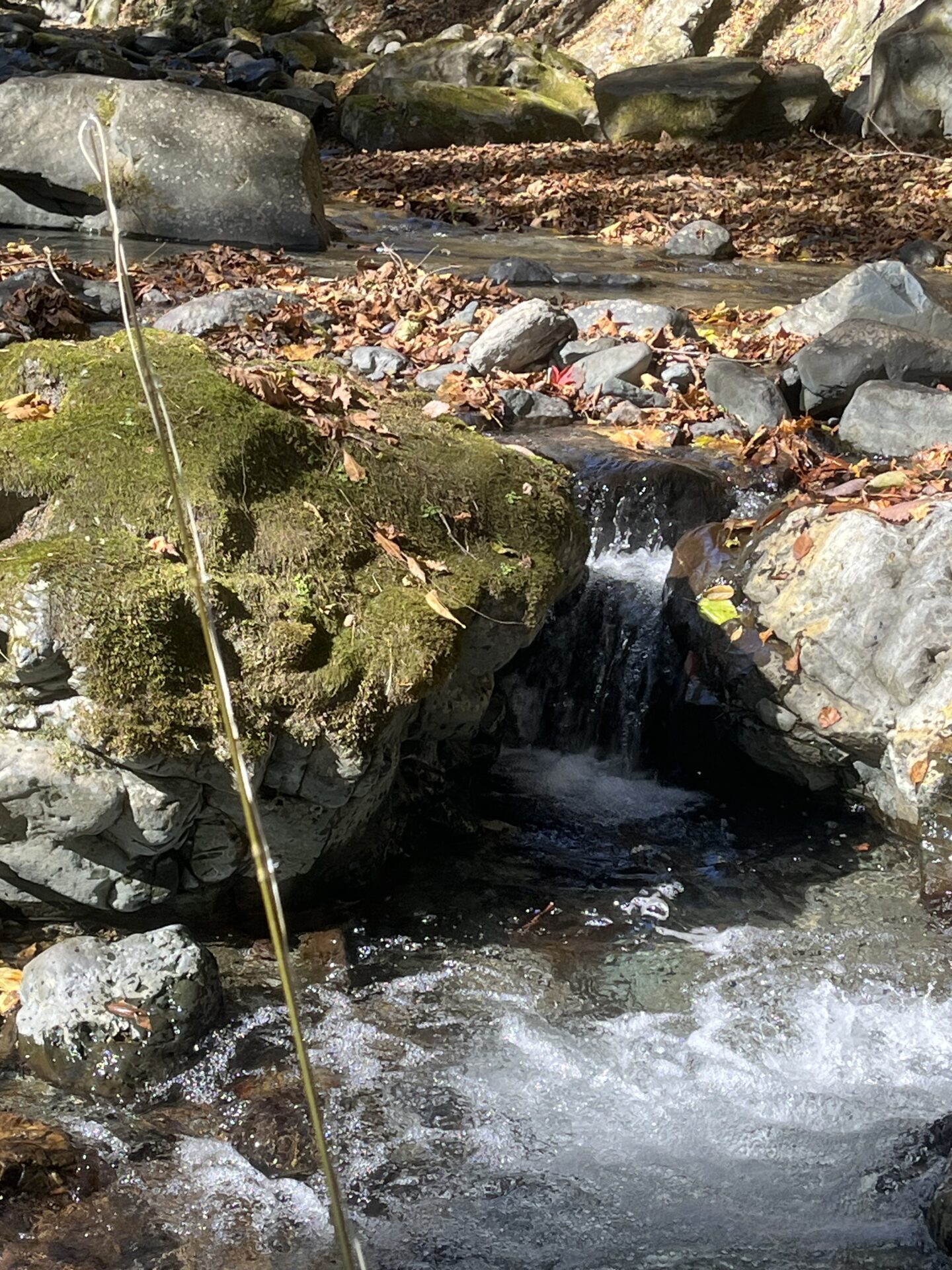 ポイント
【山女魚の隠れ家。岩魚の隠れ家。】
赤久縄
2025.11.12(5)
山女魚