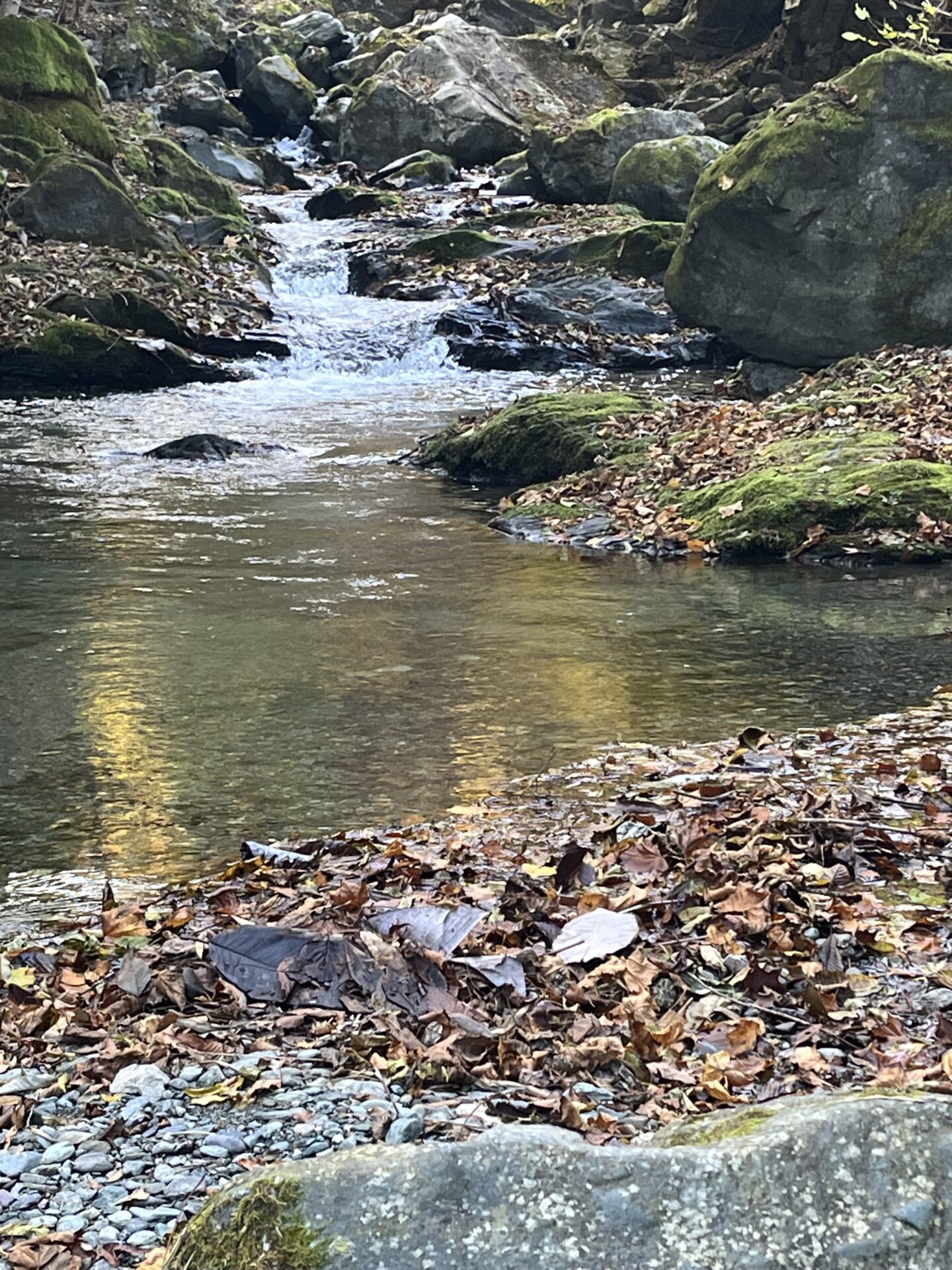 ポイント
【山女魚の隠れ家。岩魚の隠れ家。】
赤久縄
2025.11.12(15)
山女魚