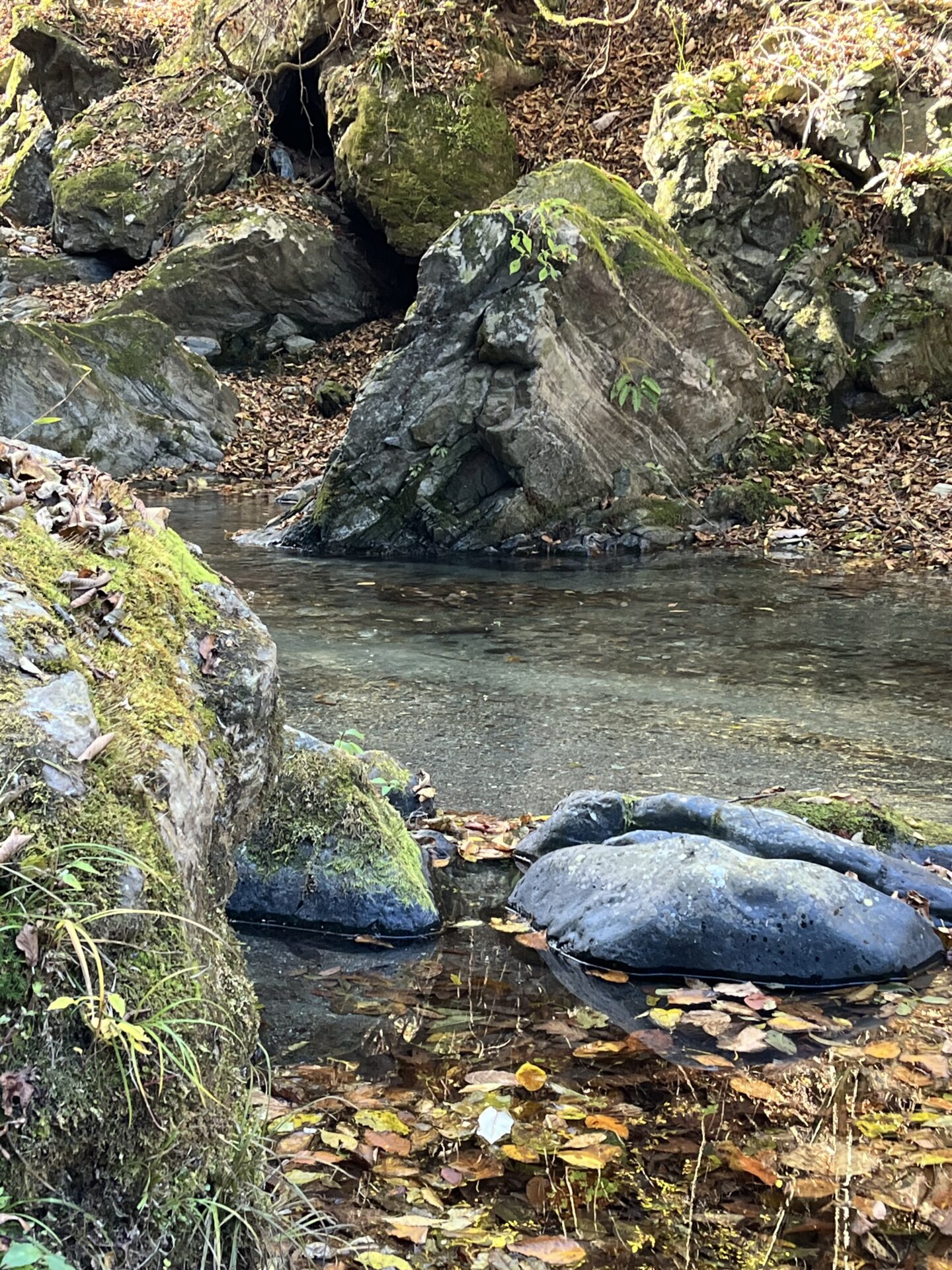 ポイント
【山女魚の隠れ家。岩魚の隠れ家。】
赤久縄
2025.11.12(21)
山女魚