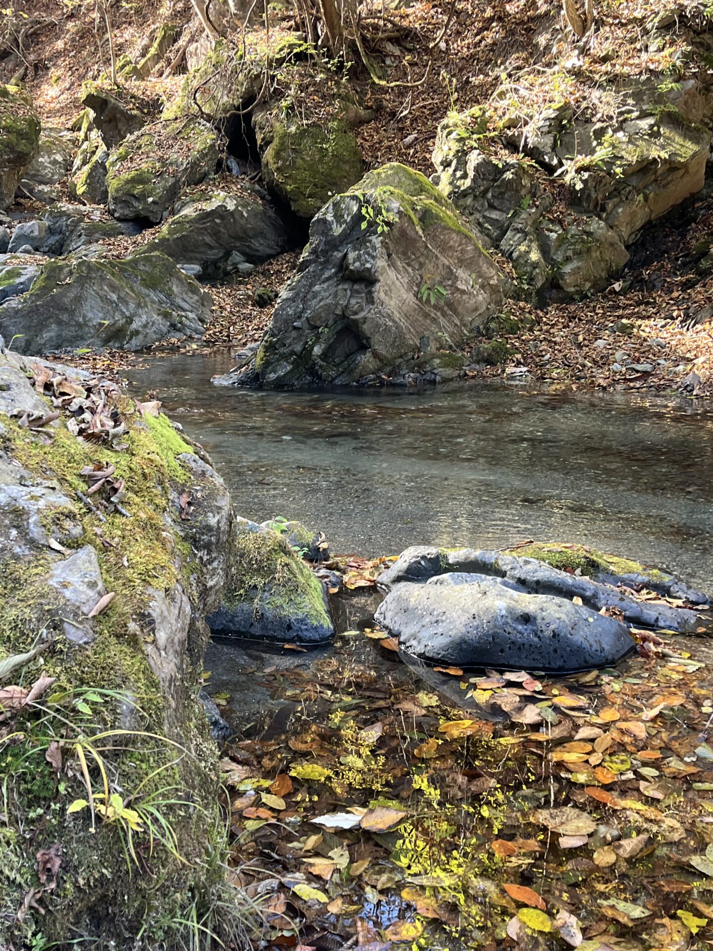 ポイント
【山女魚の隠れ家。岩魚の隠れ家。】
赤久縄
2025.11.12(23)
山女魚