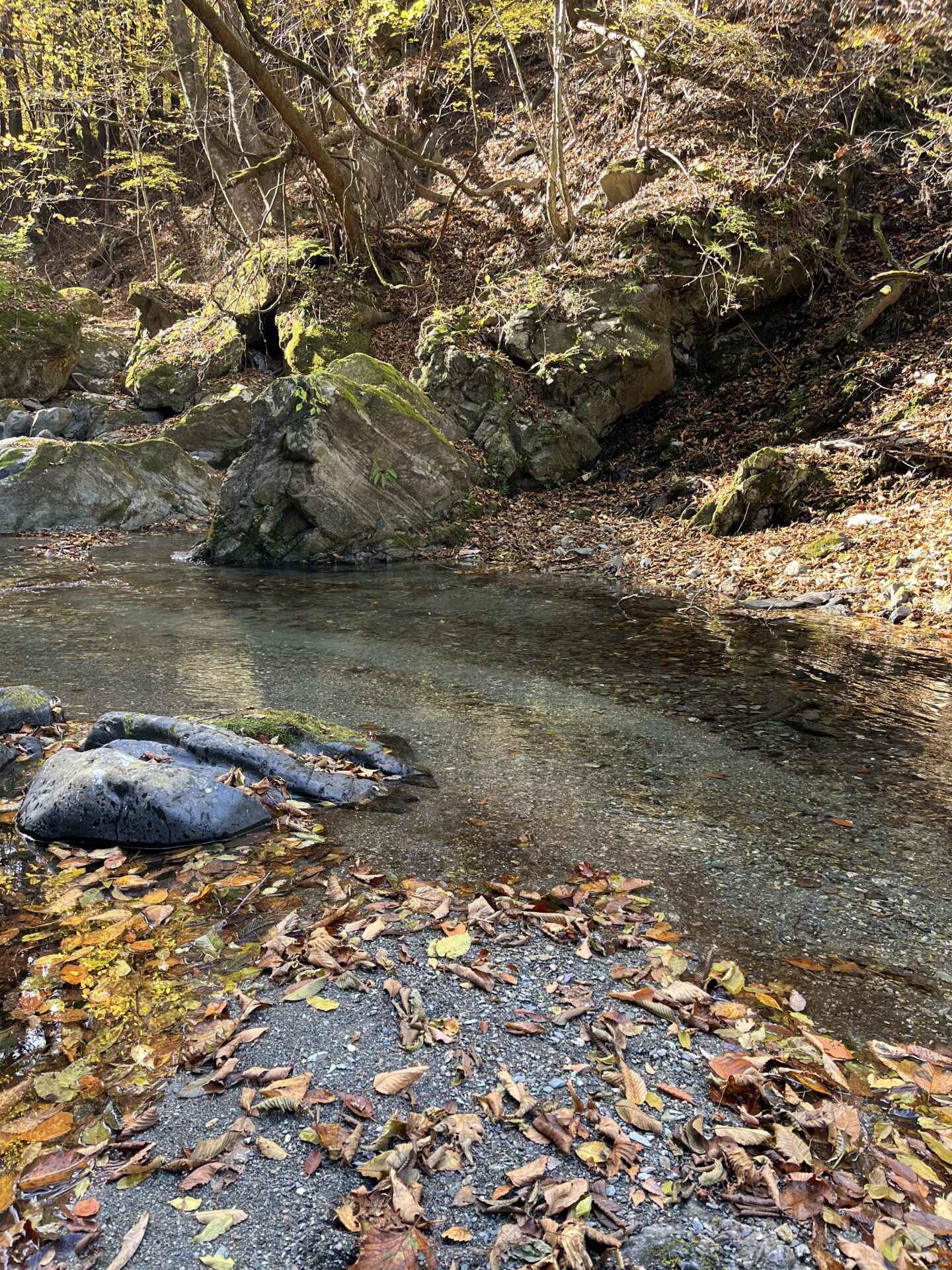 ポイント
【山女魚の隠れ家。岩魚の隠れ家。】
赤久縄
2025.11.12(24)
山女魚