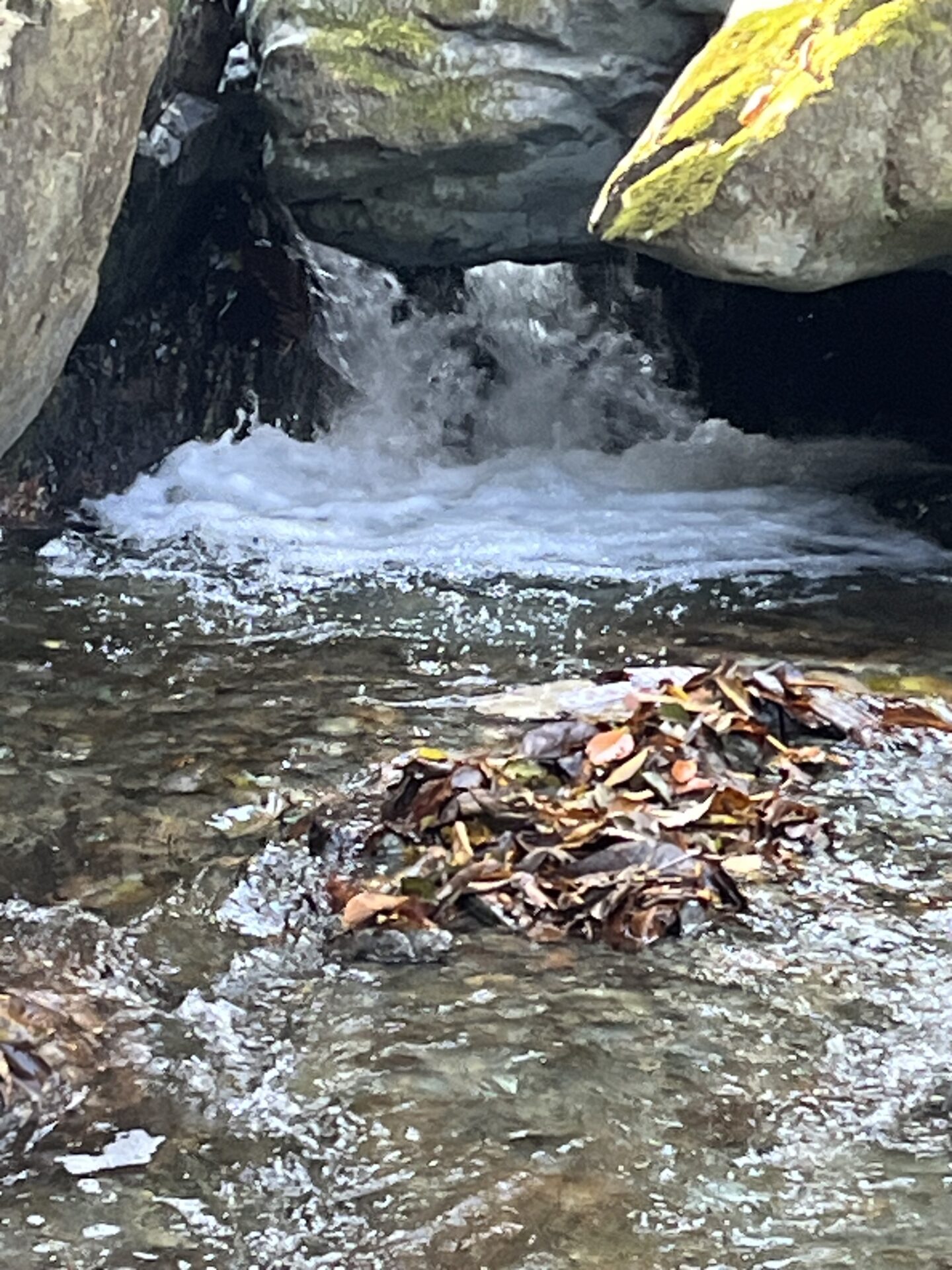 ポイント
【山女魚の隠れ家。岩魚の隠れ家。】
赤久縄
2025.11.12(26)
山女魚