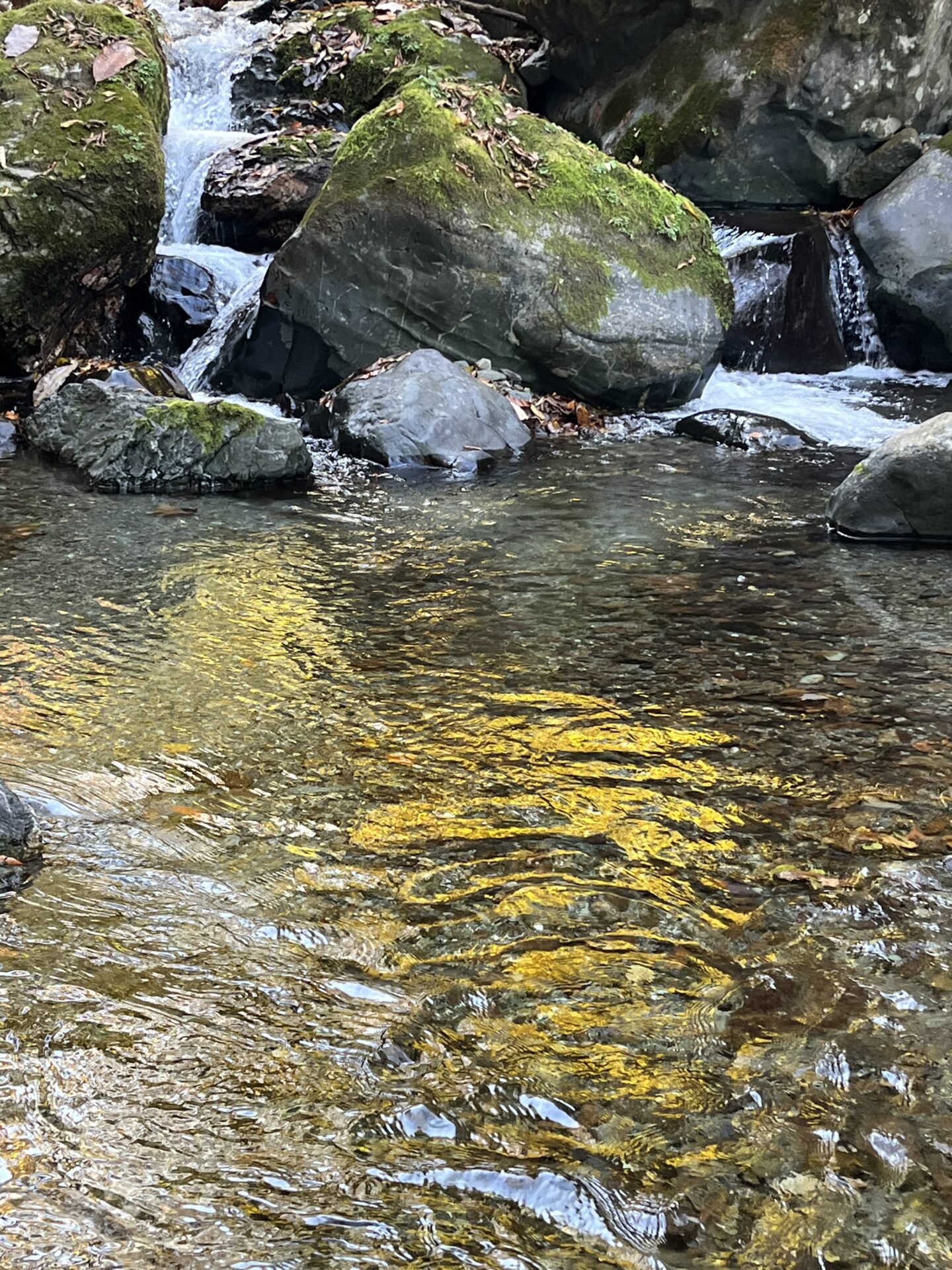 ポイント
【山女魚の隠れ家。岩魚の隠れ家。】
赤久縄
2025.11.12(28)
山女魚