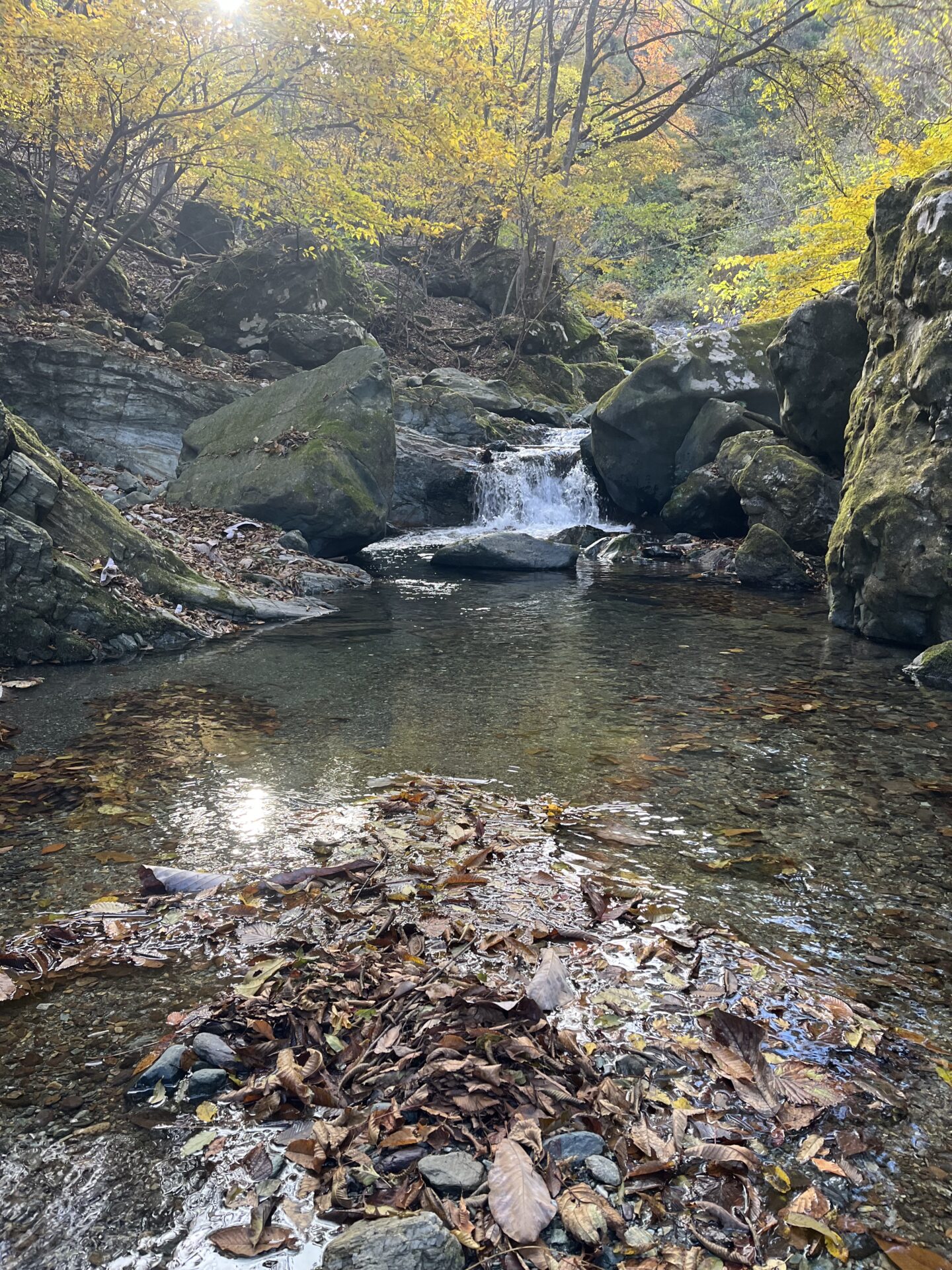 ポイント
【山女魚の隠れ家。岩魚の隠れ家。】
赤久縄
2025.11.12(34)
山女魚