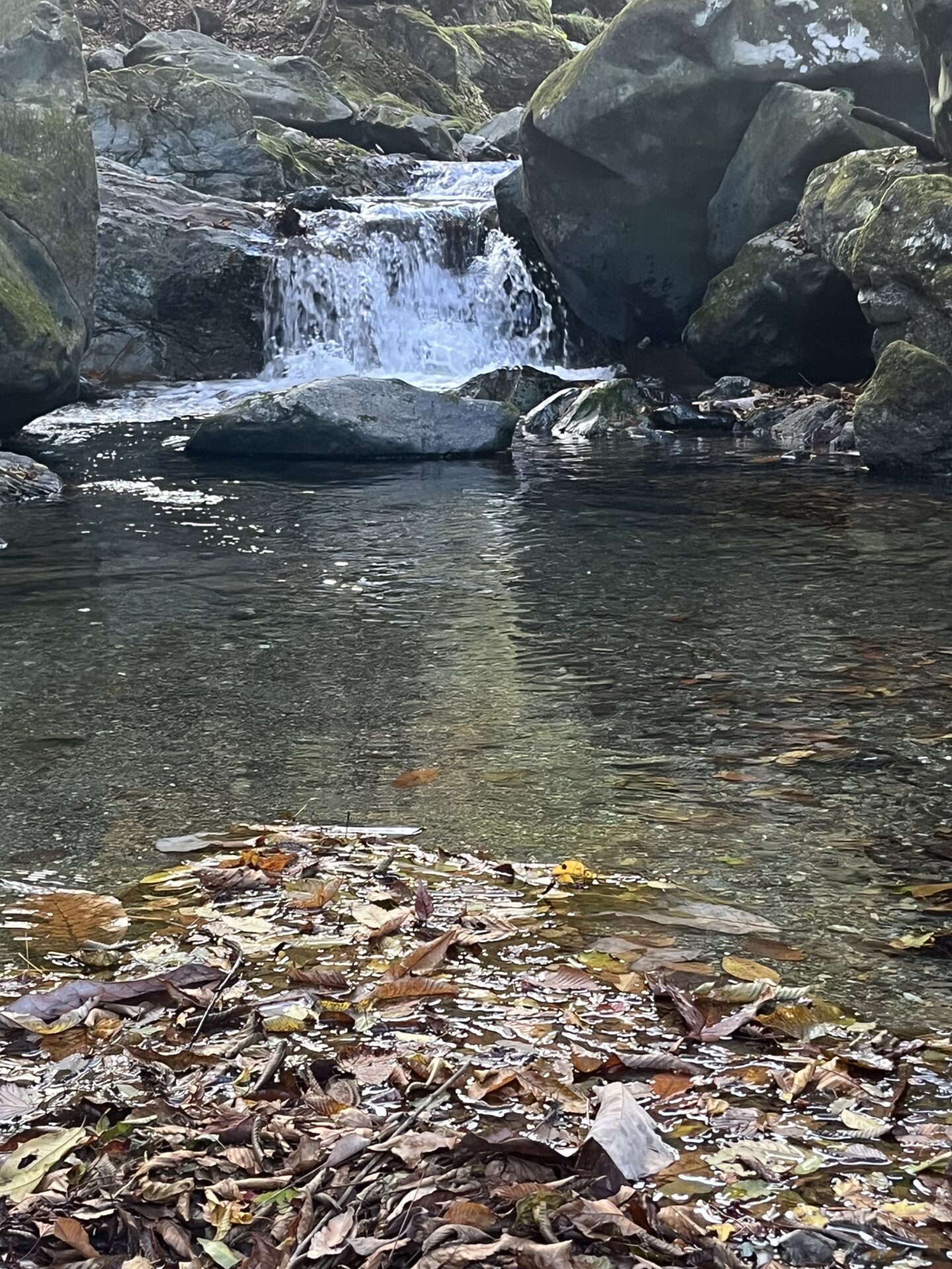 ポイント
【山女魚の隠れ家。岩魚の隠れ家。】
赤久縄
2025.11.12(35)
山女魚