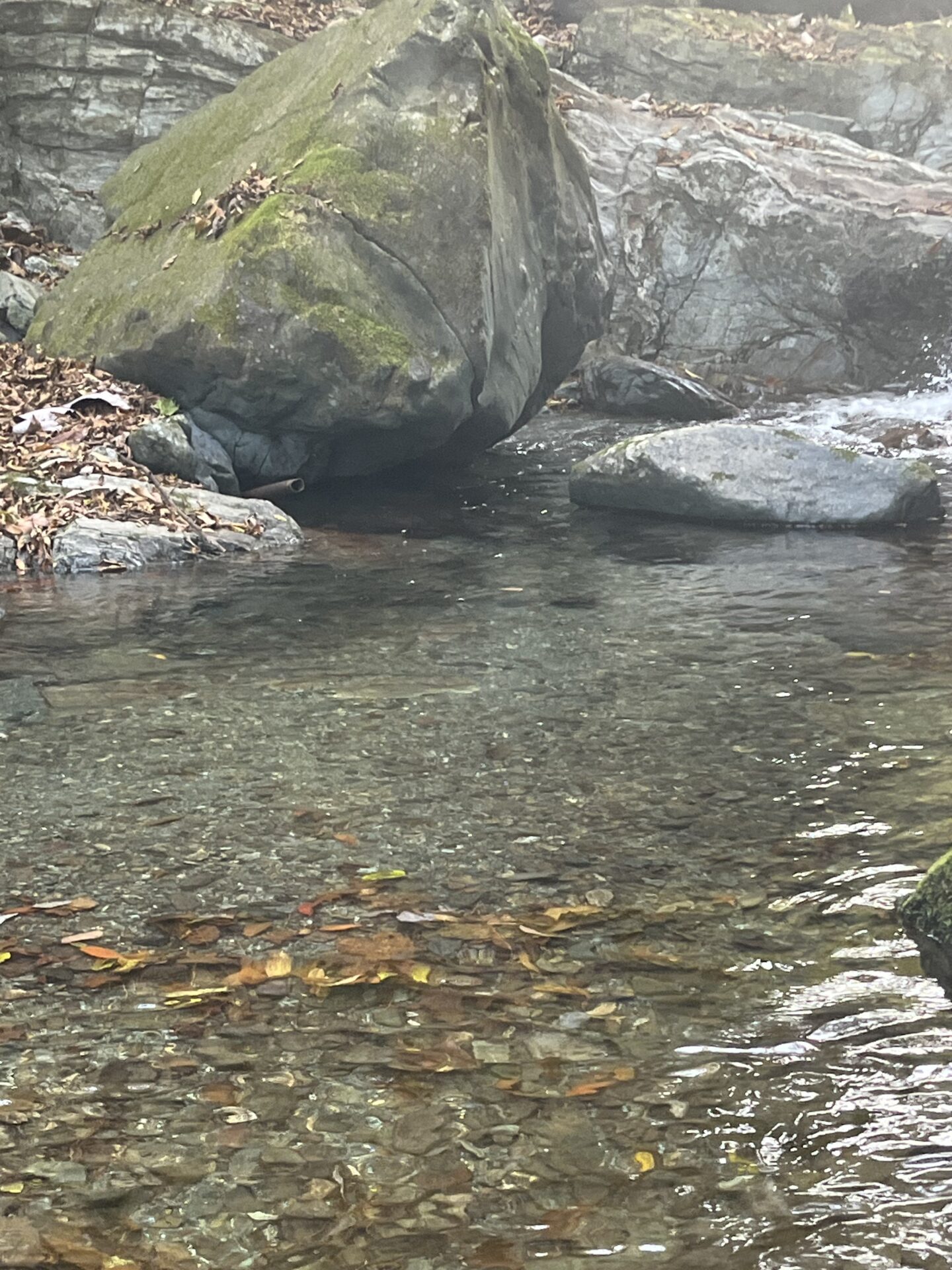 ポイント
【山女魚の隠れ家。岩魚の隠れ家。】
赤久縄
2025.11.12(36)
岩魚