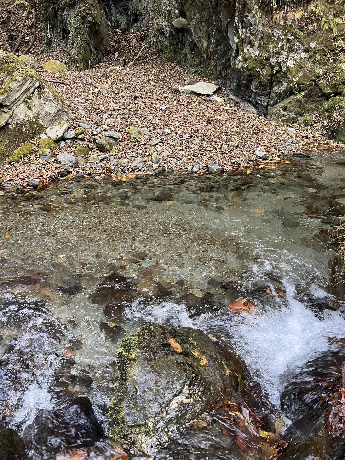 ポイント
【山女魚の隠れ家。岩魚の隠れ家。】
赤久縄
2025.11.12(40)
山女魚
