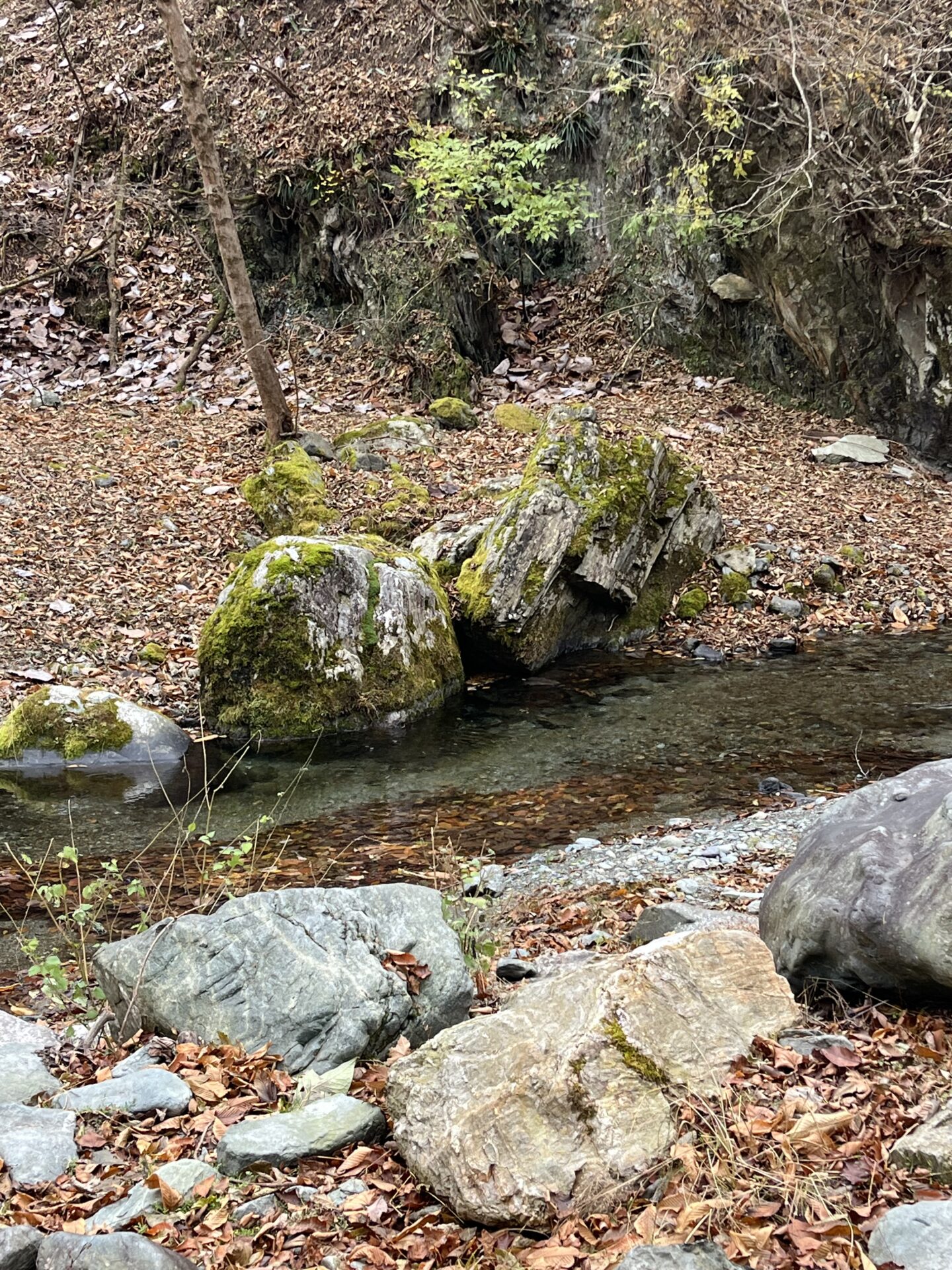 水位
赤久縄
2025.11.26