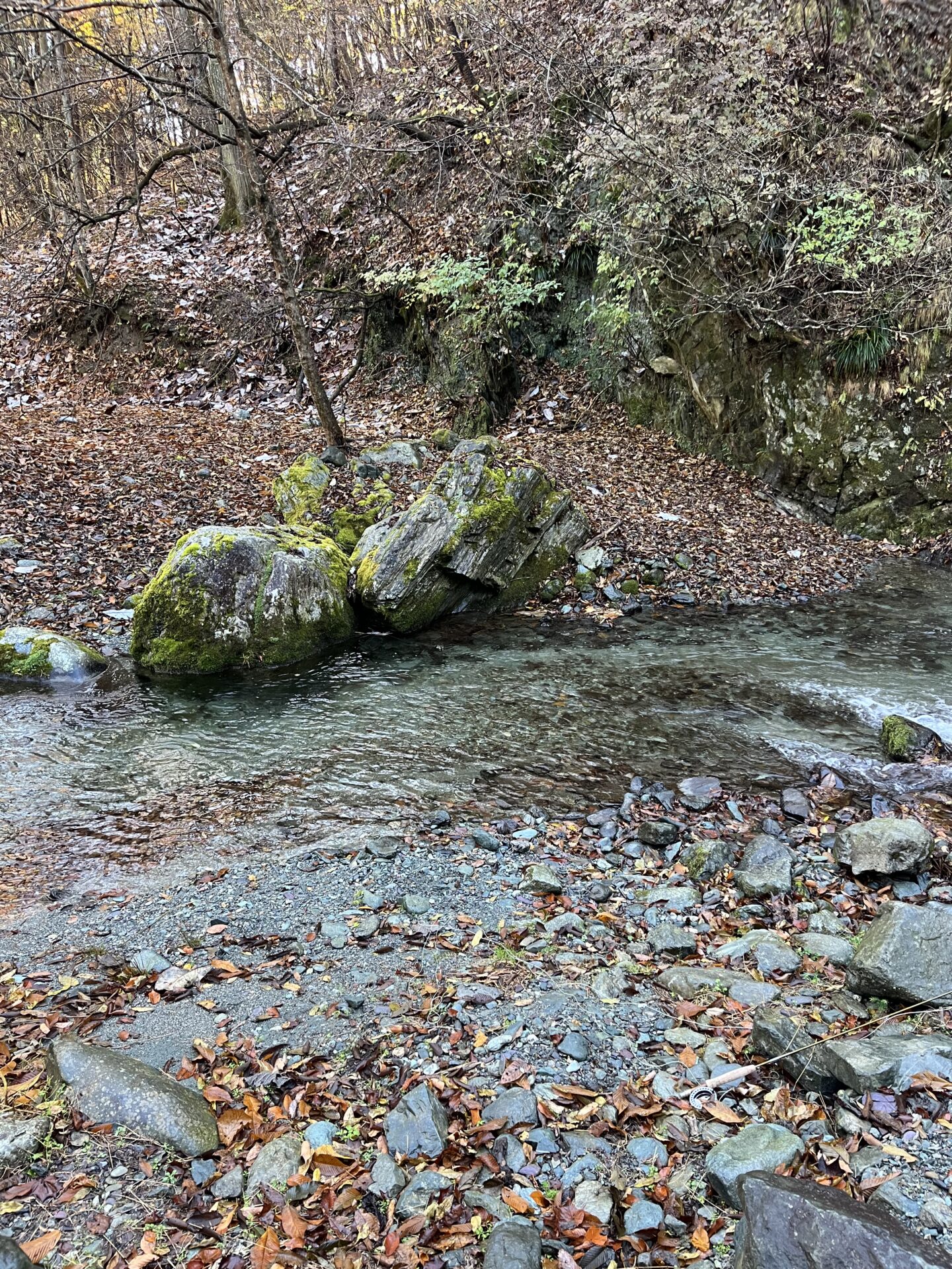 水位
赤久縄
2024.11.27