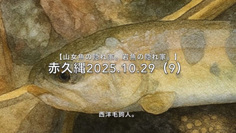 【フライフィッシング】細かい瀬は・・・期待しない。 